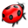bug